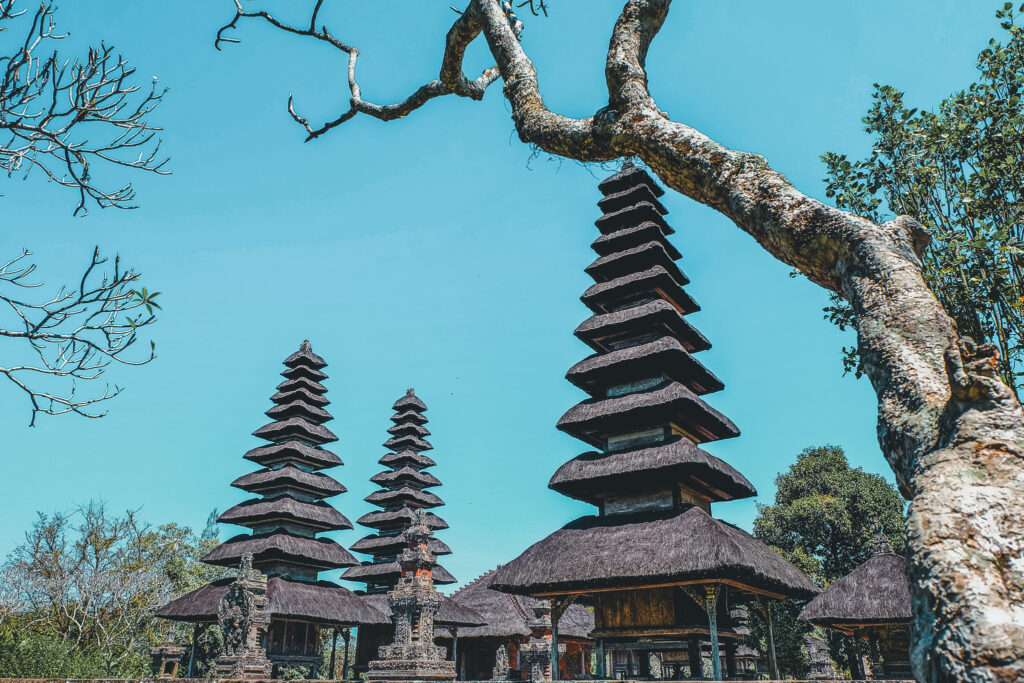 Affordable Bali half day tour package with Taman Ayun