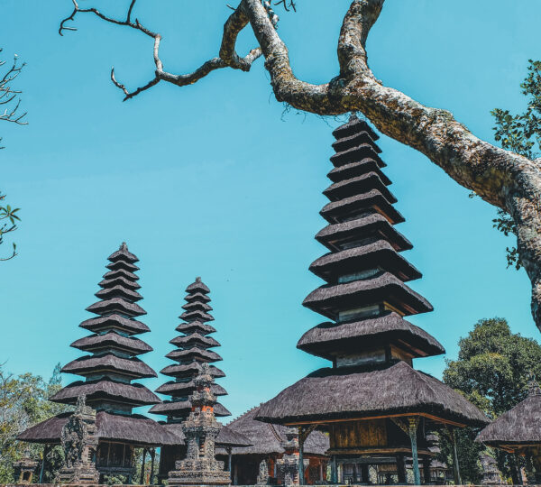 Affordable Bali half day tour package with Taman Ayun
