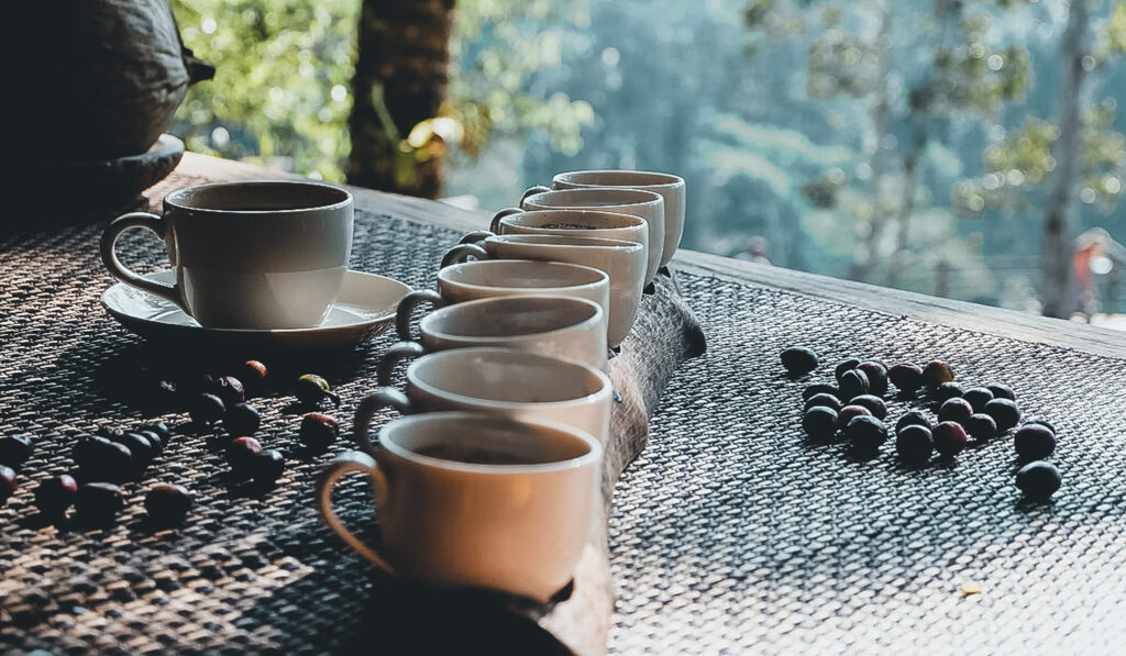 Bali coffee plantation tour with tasting