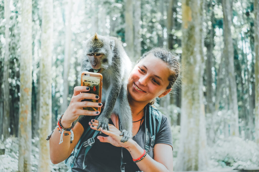 Best half day tour in Bali including Monkey Forest