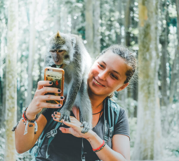 Best half day tour in Bali including Monkey Forest