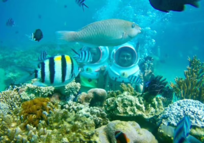 Best Sea Walking Bali Tours 2025: Complete Underwater Guide