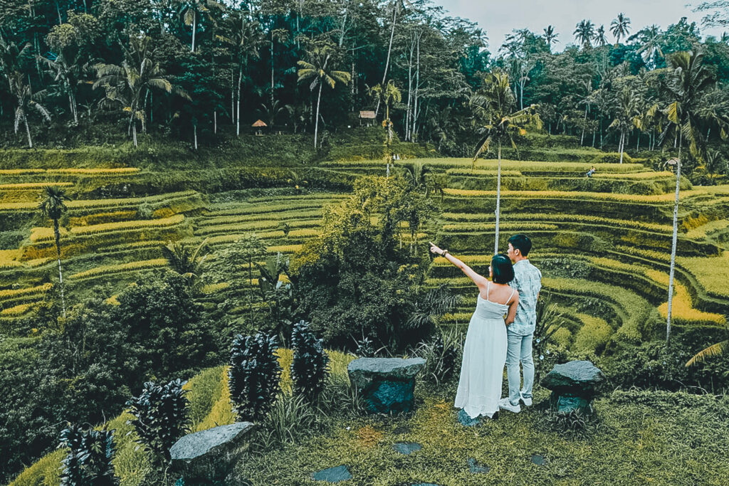 Tegalalang rice terrace romantic nature tour for family and couples in Bali