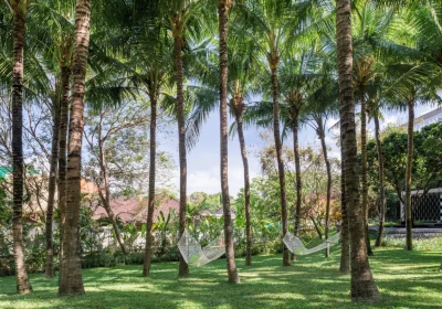 Best Pet-Friendly Hotels in Bali 2025: From Budget to Luxury