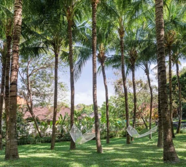General image of a pet-friendly hotel accommodation in Bali welcoming travelers with dogs and other pets.