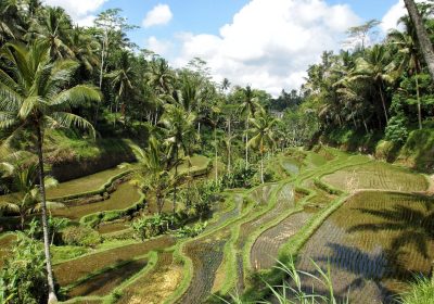 Unforgettable Day Trips from Ubud: Bali's Best Hidden Gems