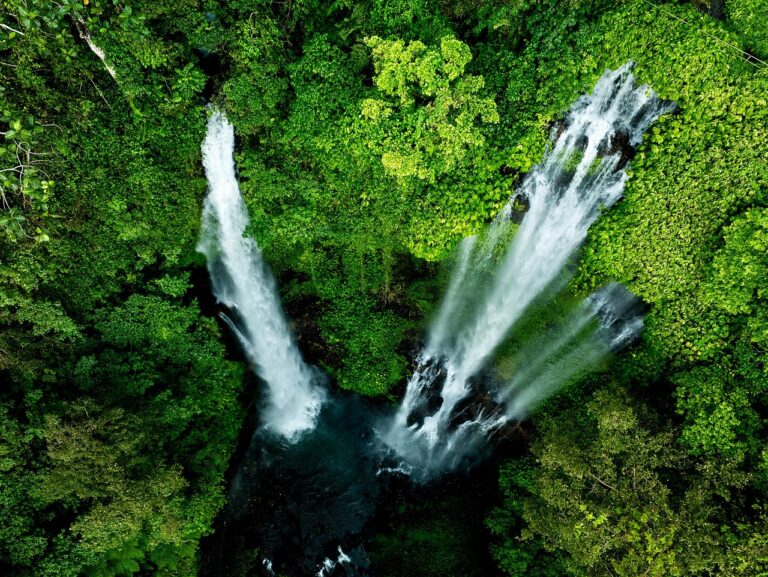 sekumpul, bali, nature, green, forest, water, waterfall, indonesia, tourism, travel, exploration, outdoors