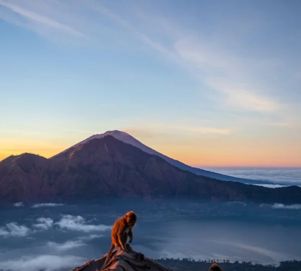 Planning your first Mount Batur tour? Discover essential tips for a smooth Batur trekking tour and witness an epic sunrise. Find your perfect Mount Batur guide and book easily at BaliAdventours.com.