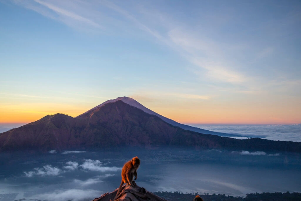 Planning your first Mount Batur tour? Discover essential tips for a smooth Batur trekking tour and witness an epic sunrise. Find your perfect Mount Batur guide and book easily at BaliAdventours.com.