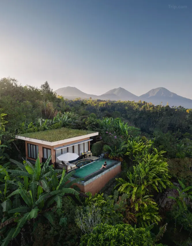 Munduk Moding Plantation Resort, a resort with a private pool and mountain views in Bali.