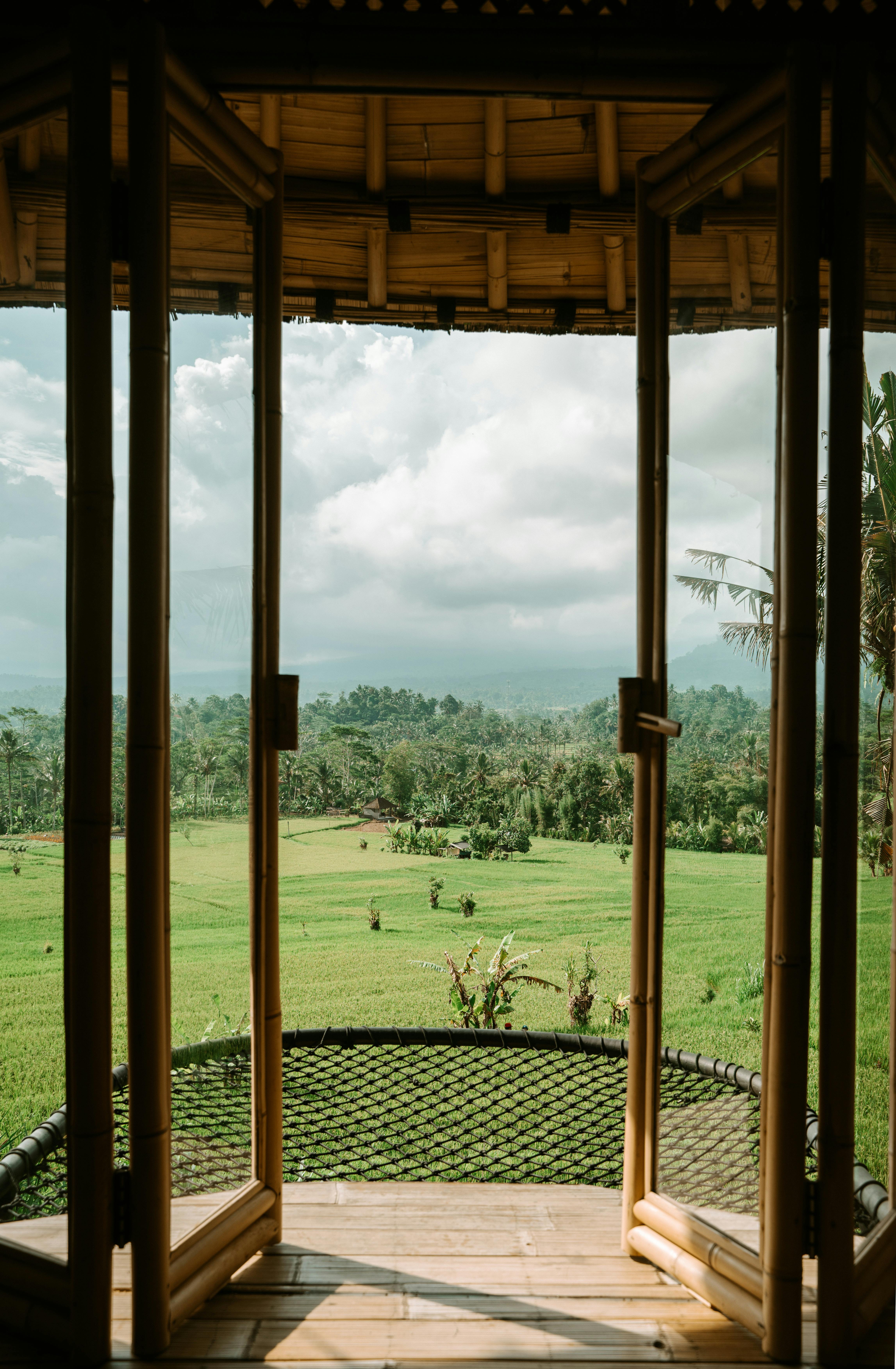 A picturesque view of lush green rice fields seen through a bamboo window frame in Bali, Indonesia.