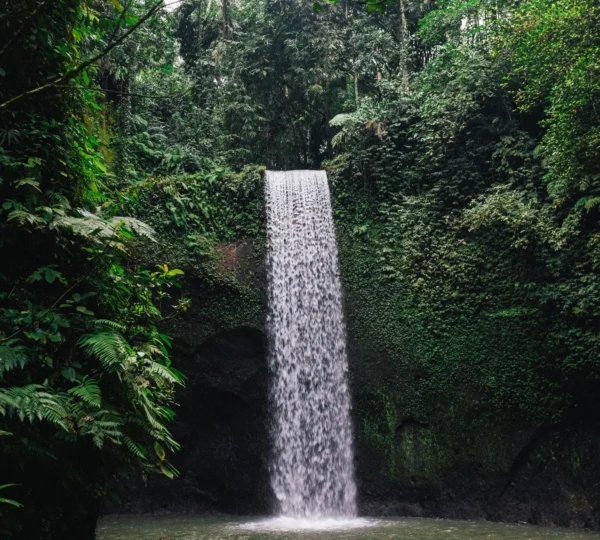 Bali adventure tours that take you deep into the island’s lush interior. Popular spots include Banyumala Waterfall, Tibumana Waterfall, and the stunning Sekumpul Waterfall. Some tours even combine these with swings or jungle activities.