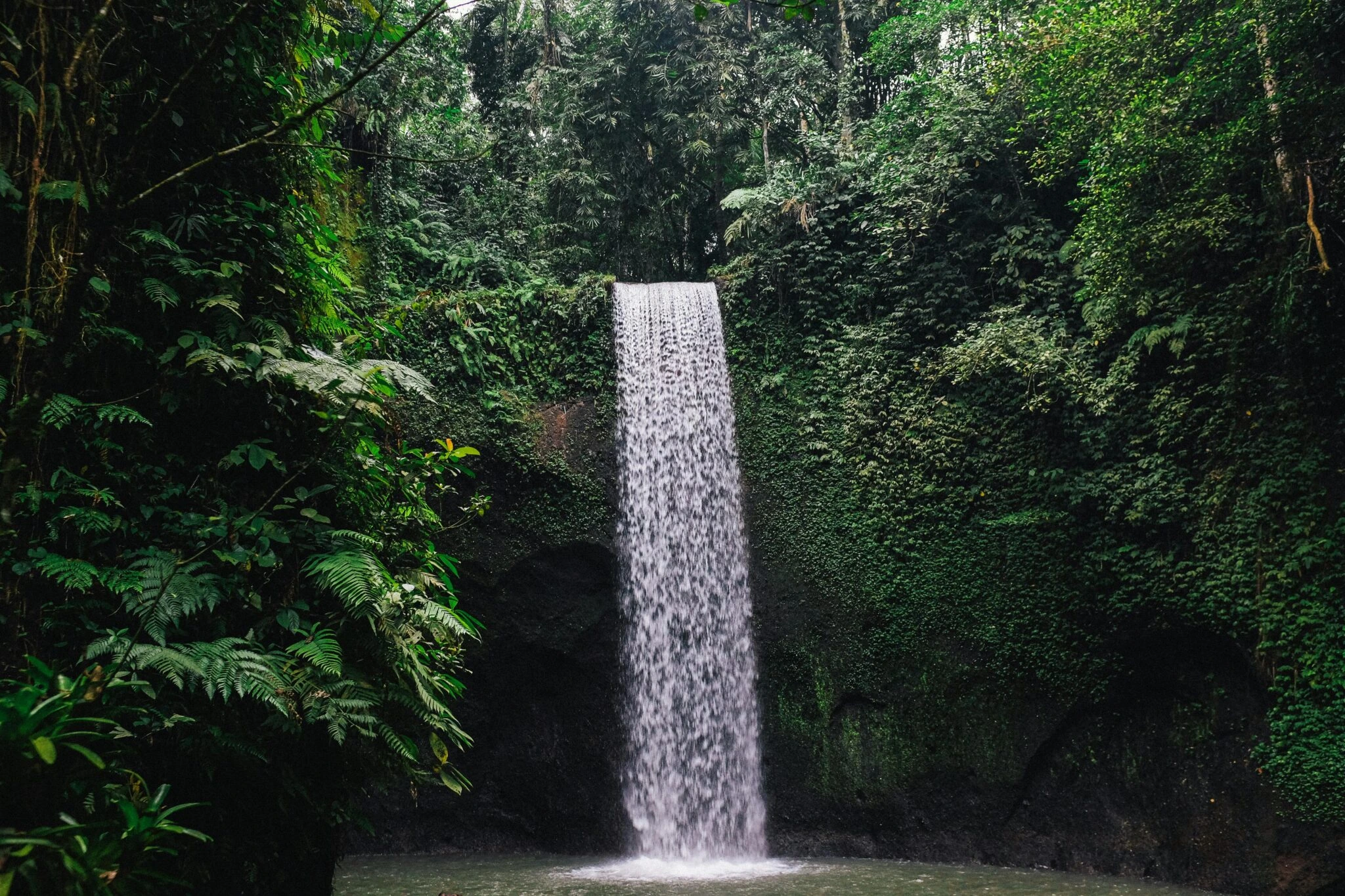 Bali adventure tours that take you deep into the island’s lush interior. Popular spots include Banyumala Waterfall, Tibumana Waterfall, and the stunning Sekumpul Waterfall. Some tours even combine these with swings or jungle activities.