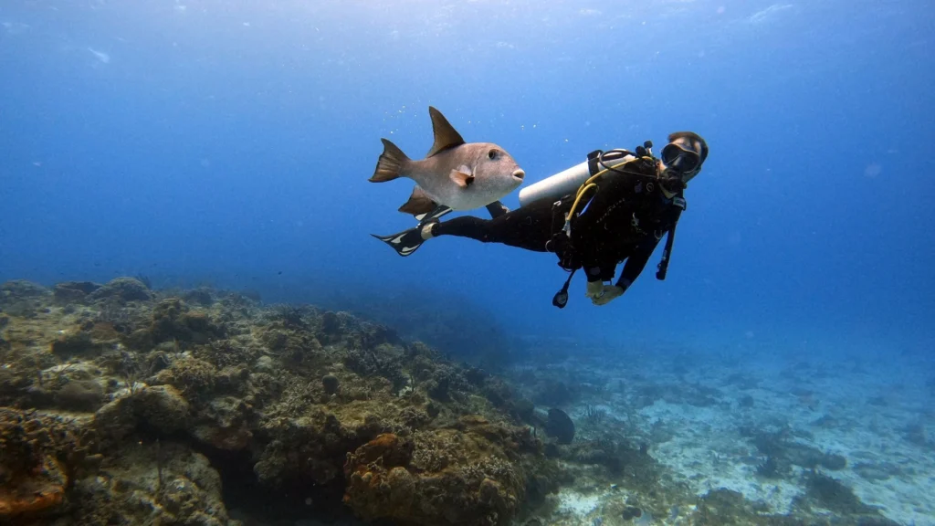 Experience the vibrant underwater world of Nusa Penida with breathtaking snorkeling opportunities.