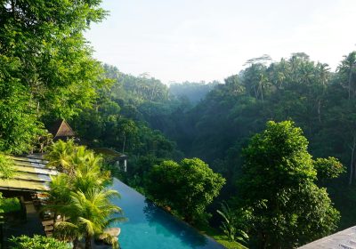 Ubud vs. Seminyak vs. Canggu: Which Bali Area Fits You Best?