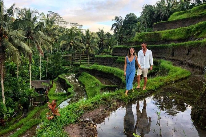 Lush green rice paddies and a traditional Balinese temple in Ubud, evoking a sense of peace, culture, and nature.