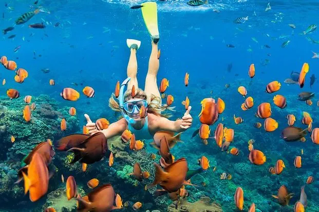 Snorkelers swimming near a vibrant coral wall at Wall Point, Nusa Penida.