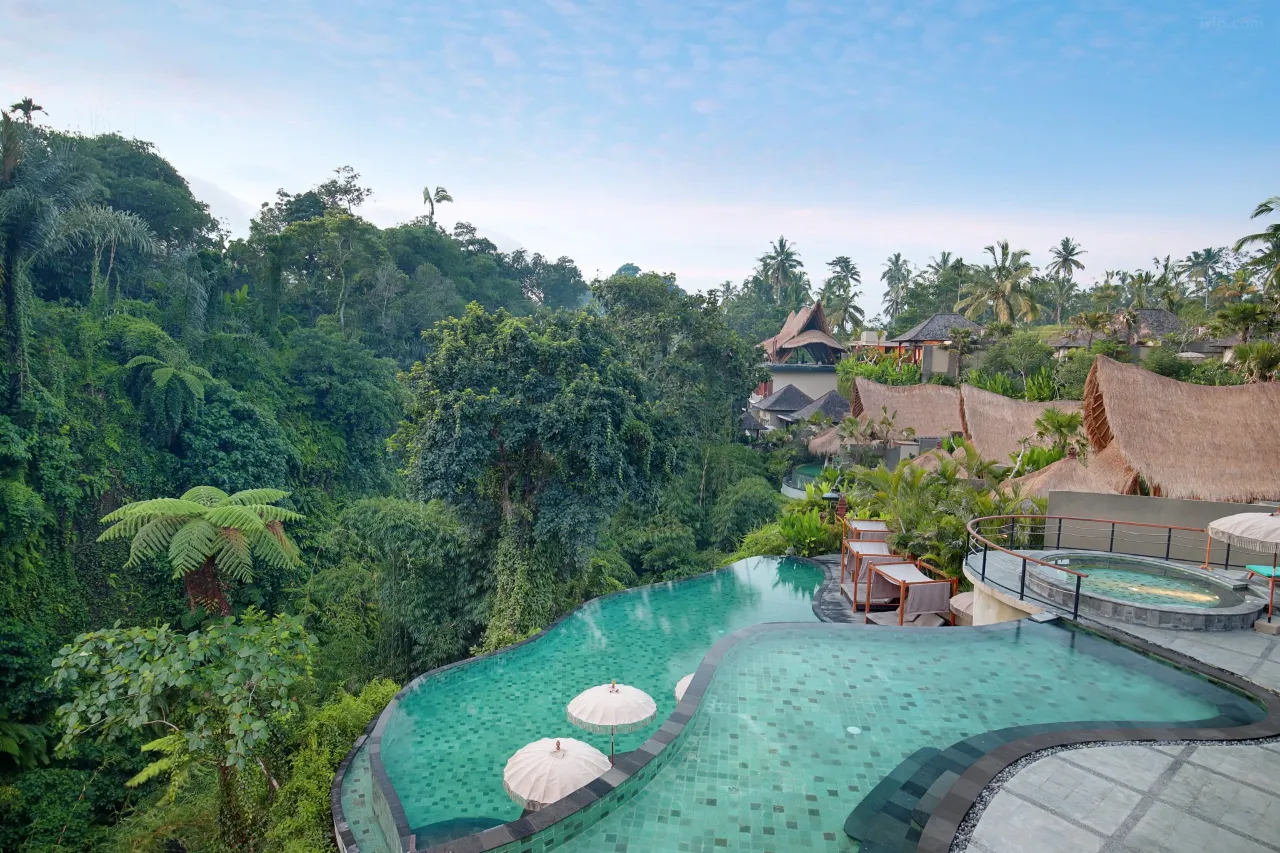 Aksari Luxury Resort & Spa in Ubud, featuring a private infinity pool surrounded by rice fields.
