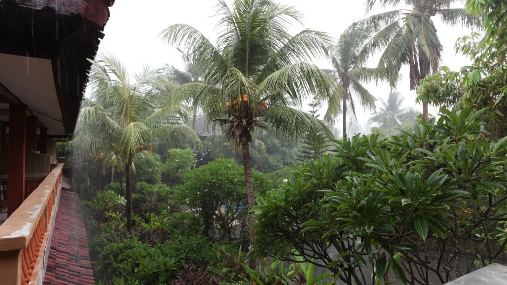 In Bali, the rainy season typically lasts from November to March. The rain often arrives in intense, heavy bursts, which are usually brief and quickly followed by periods of sunshine.