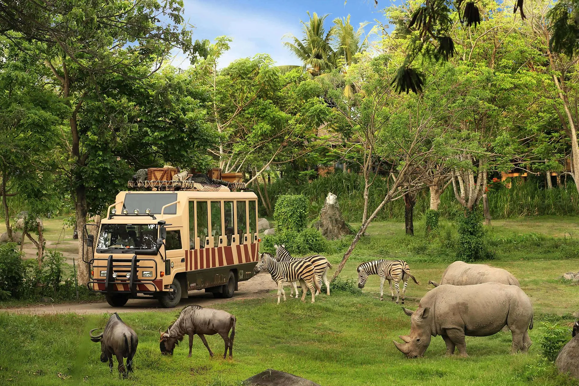 Bali Safari and Marine Park combines wildlife education with fun activities. Kids can learn, play, and explore in one place.
