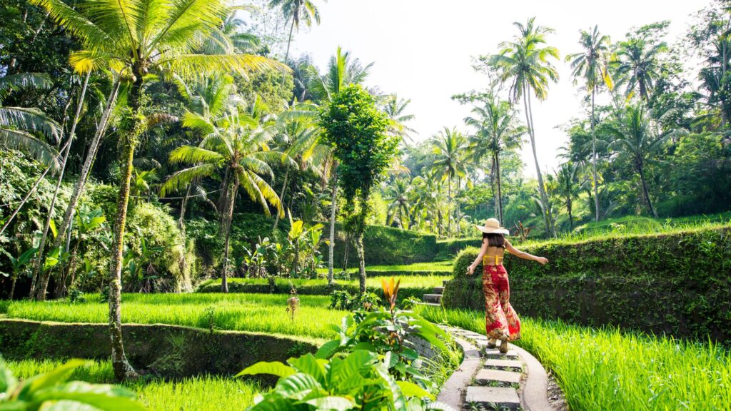 Day three highlights wellness, rice terraces, and surfing. The perfect finale to your Canggu itinerary.