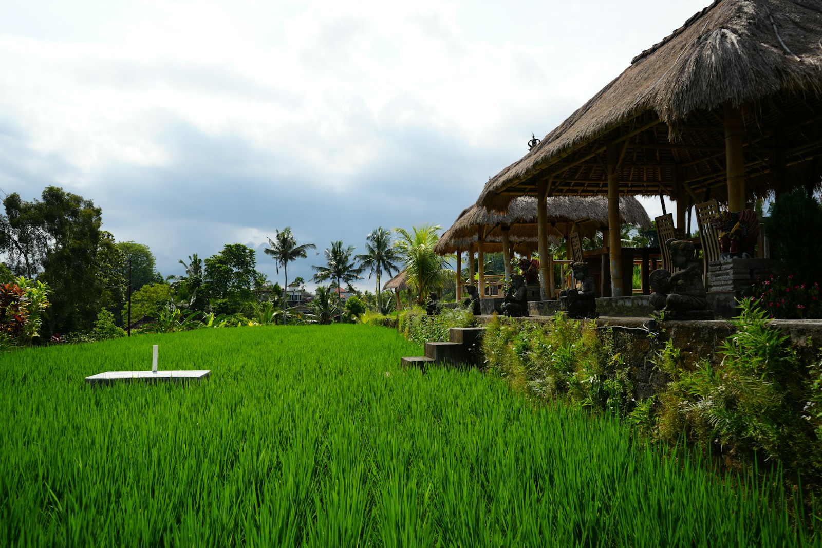 Bali villa surrounded with palm trees and rice fields views.