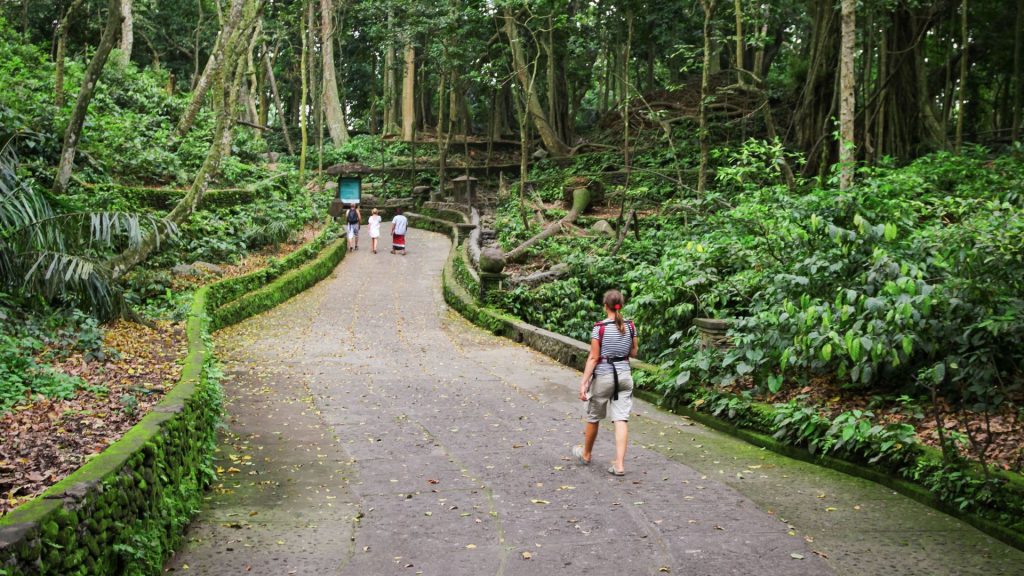 The Sacred Monkey Forest Sanctuary is a family favorite in Ubud. Kids love meeting playful monkeys in a natural setting.
