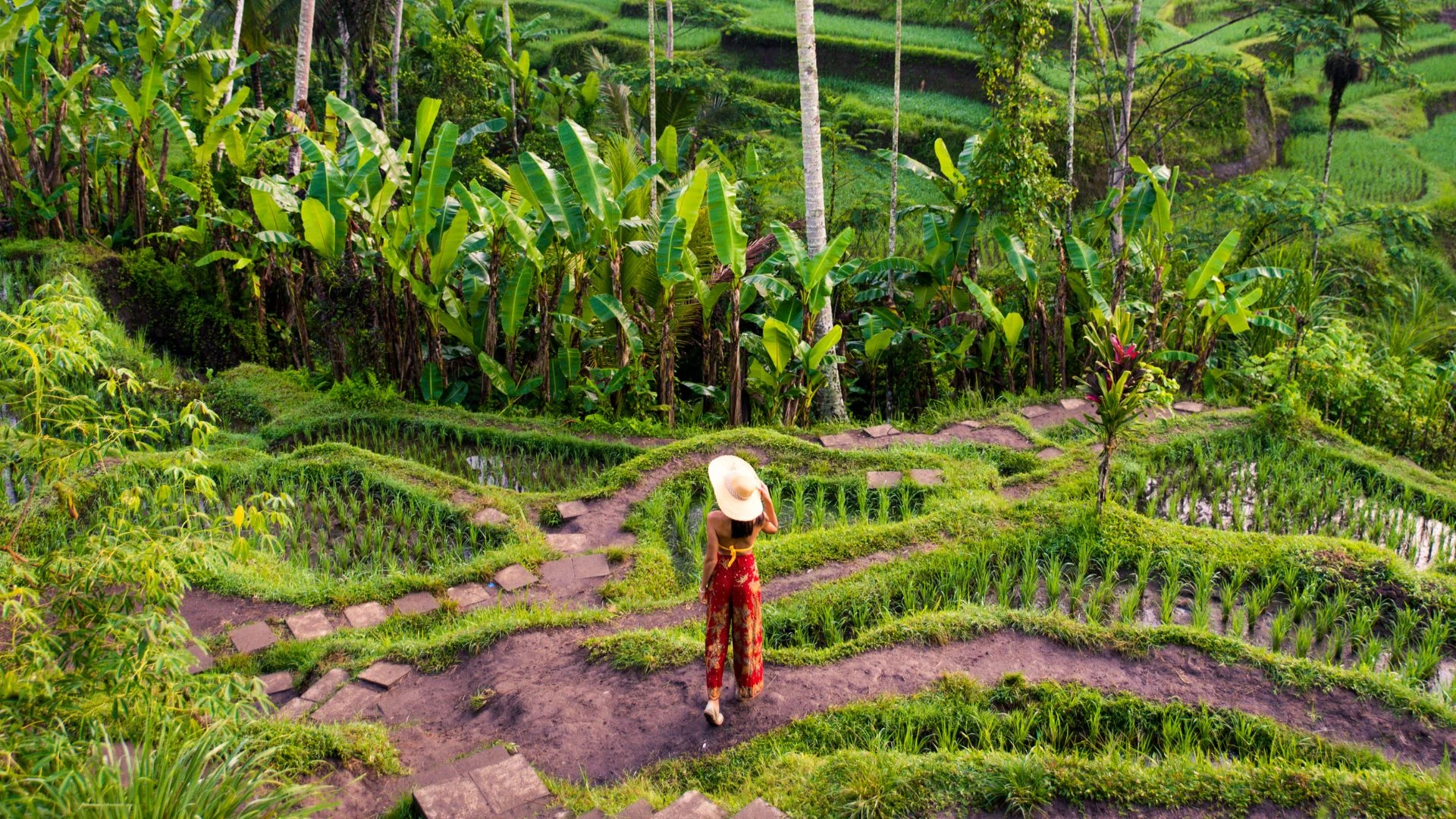 A photograph of a female tourist posing for a picture with a backdrop of a terraced rice paddy field in Ubud.