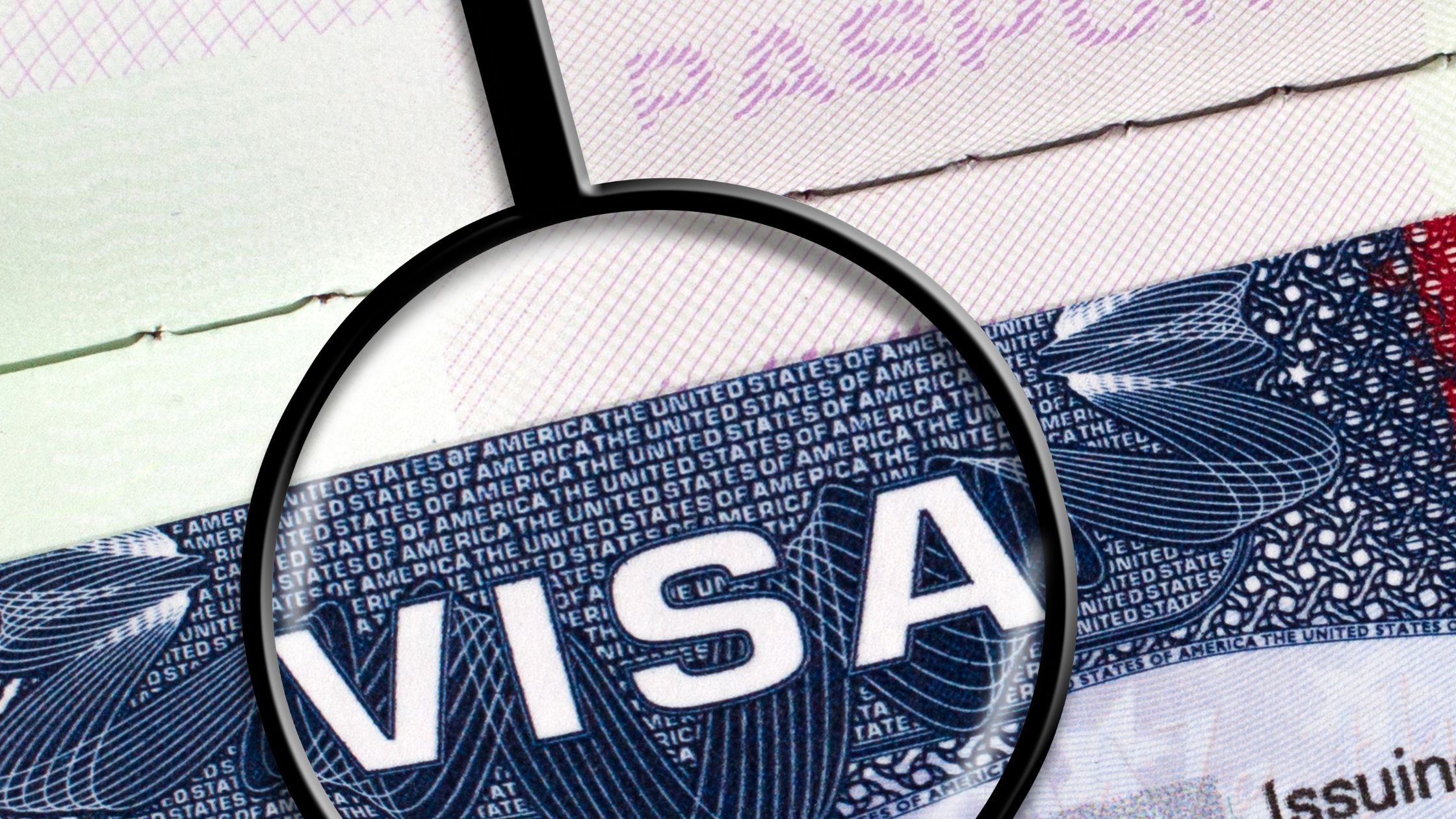 The word Visa shown large through a magnifying glass effect.