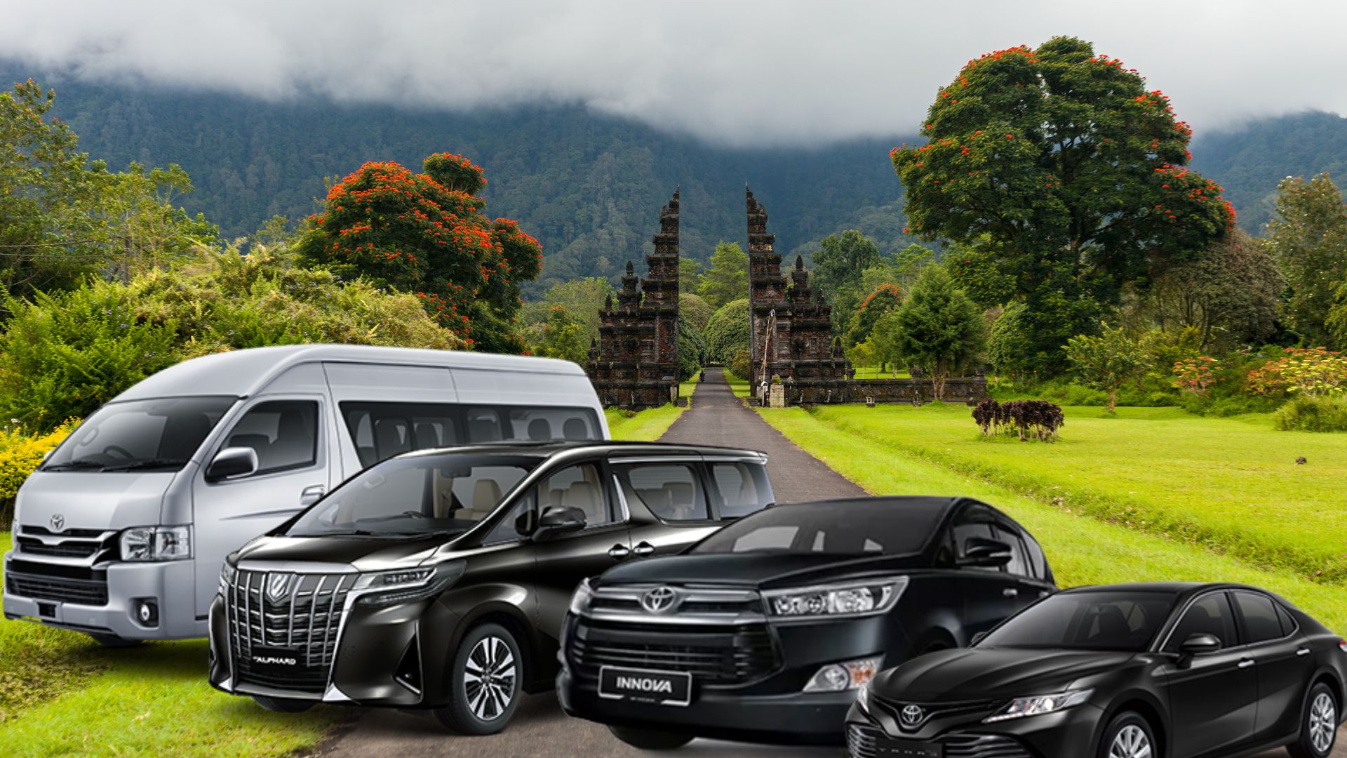 Various cars displayed for rental in Bali. Tourists can choose from different models for their holiday travel.