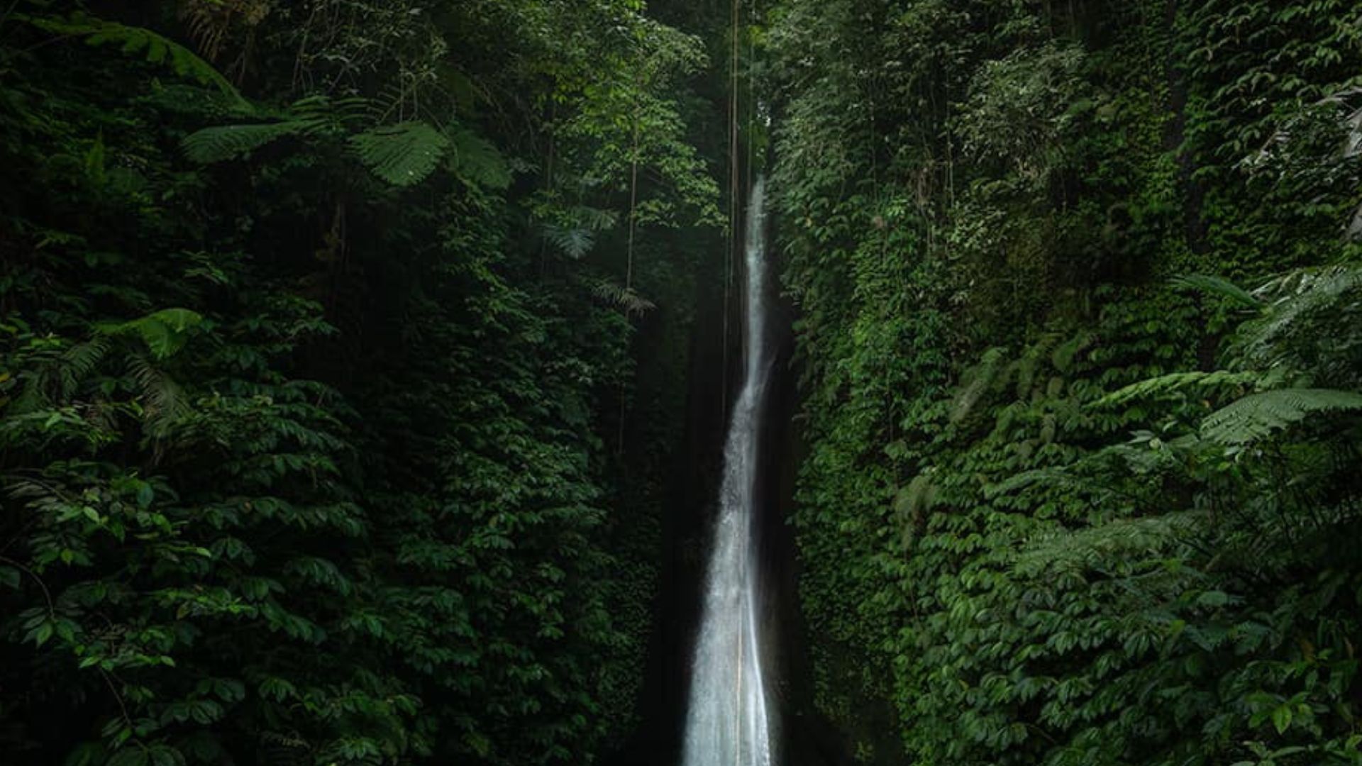 Leke Leke Waterfall in Bali surrounded by lush greenery. The water flows gently, creating a calm and serene mood.