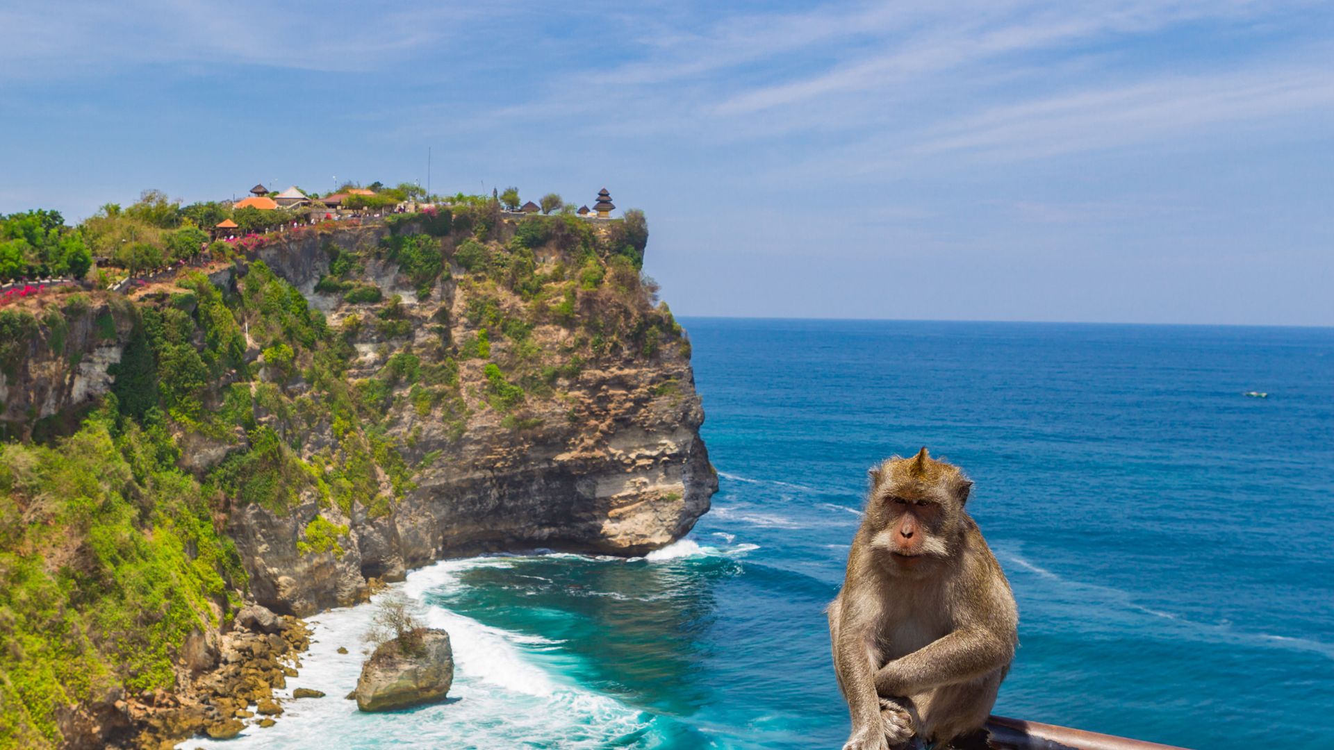A view of Uluwatu Cliff with the ocean waves and a monkey on the edge. The scenery combines natural beauty and wildlife.