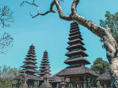 Best of Bali in One Day: Temples, UNESCO Rice Terraces & Sunset at Tanah Lot