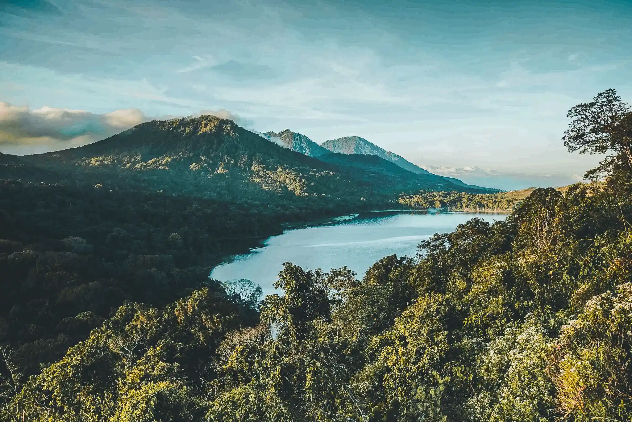 North Bali Full Day Tour Waterfall and Insta-Worthy Day Tour