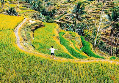 Ready for a Killer Feed? Discover the 10 Most Instagram-Worthy Bali Destinations You Need to See