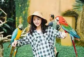 Ubud Ayung River White Water Rafting with Bali Bird Park