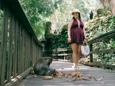 Ubud Culture All Inclusive Nature and History Day Tour with Optional Lunch & Photographer