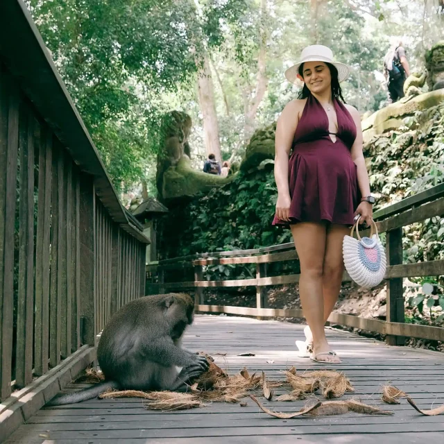 Ubud Culture All Inclusive Nature and History Day Tour with Optional Lunch & Photographer