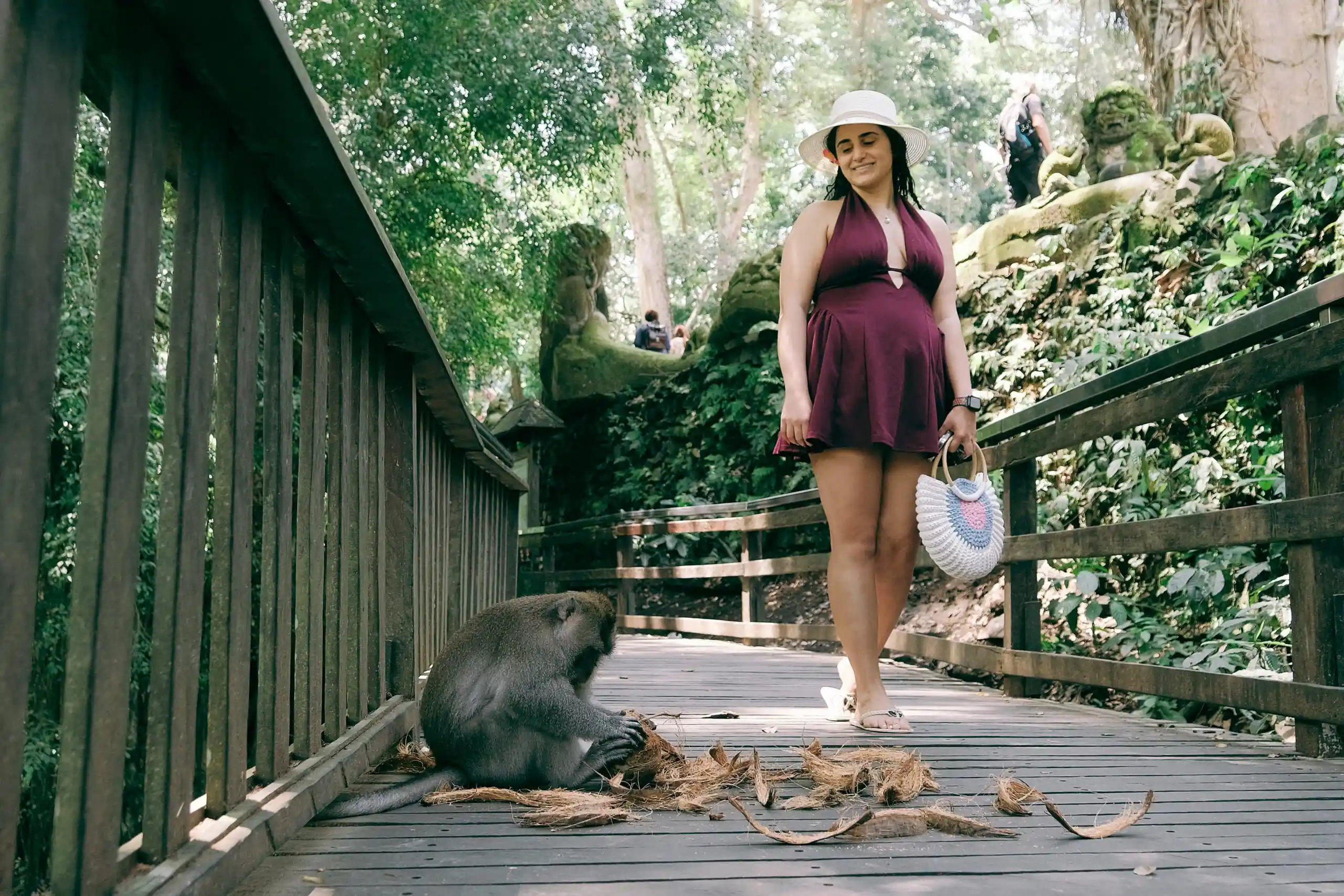 Ubud Culture All Inclusive Nature and History Day Tour with Optional Lunch & Photographer 1