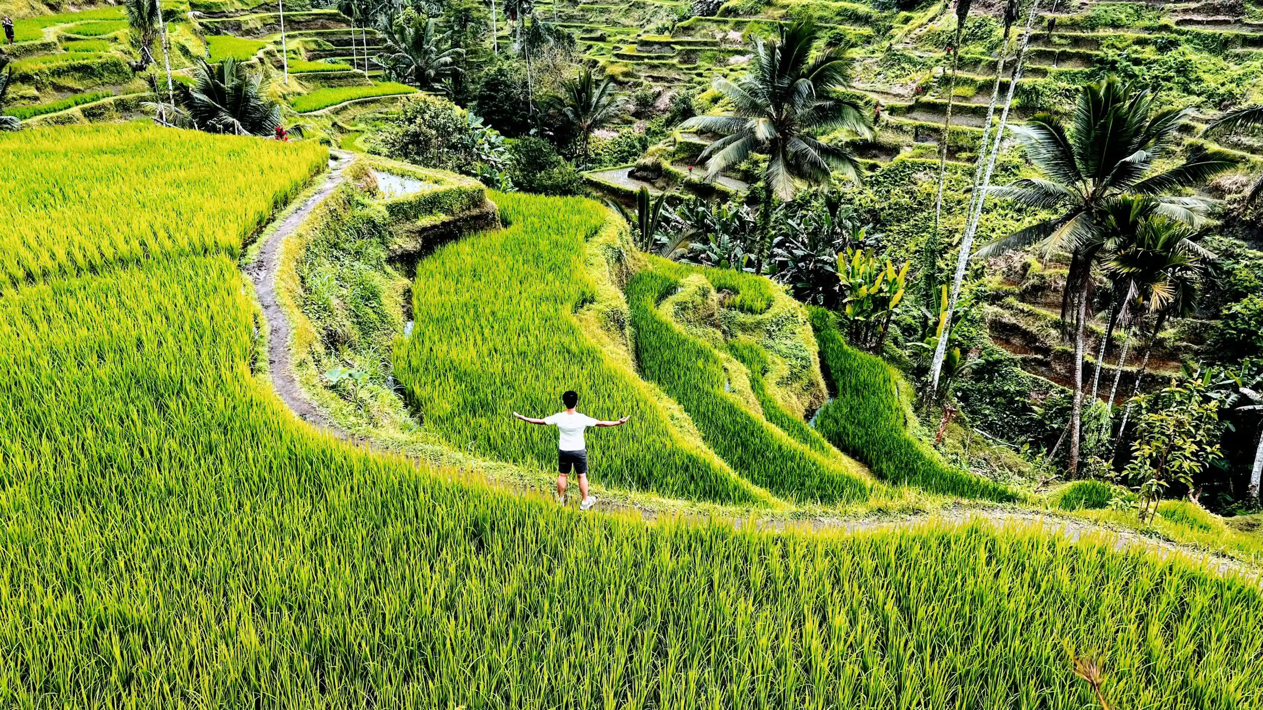 Ubud Culture All Inclusive Nature and History Day Tour with Optional Lunch & Photographer 1