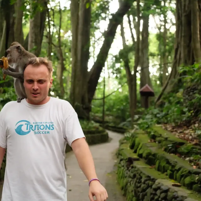 Ubud Culture Nature and History All Inclusive Day Tour with Optional Jungle Swing