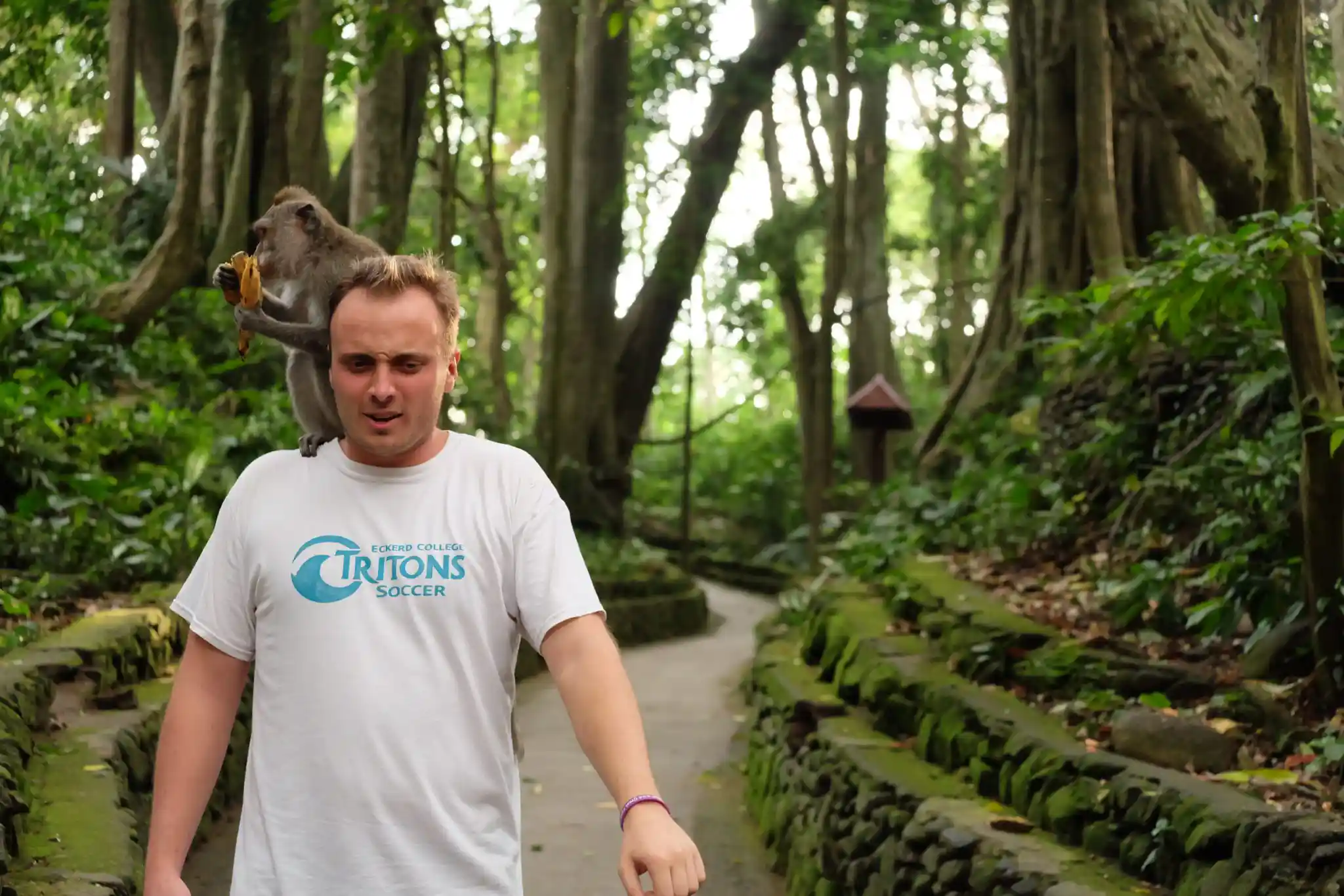 Ubud Culture Nature and History All Inclusive  Day Tour with Optional Jungle Swing