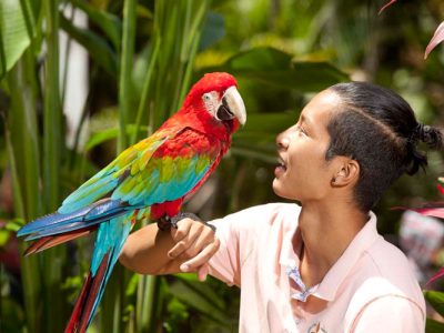 Ubud Ayung River White Water Rafting with Bali Bird Park