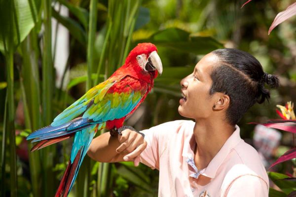 Ubud Ayung River White Water Rafting with Bali Bird Park